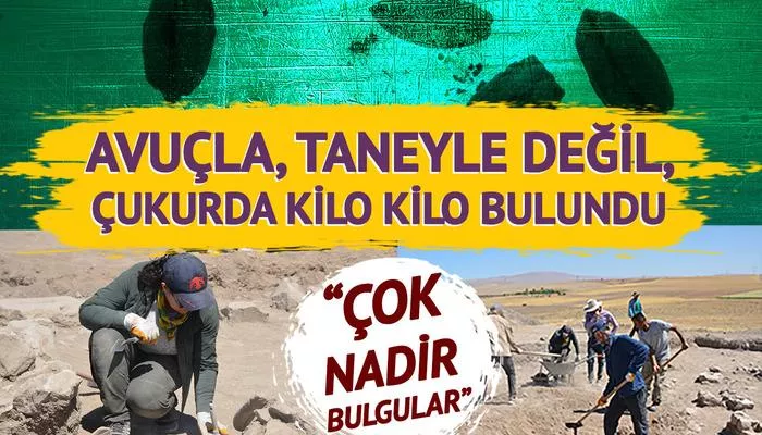 Hepsi Yassı Höyük&#039;te çukurda bulundu: Elit kesimi simgeleyen "çok nadir" bulgular! 2 bin 800 yıllık sarımsak bile var