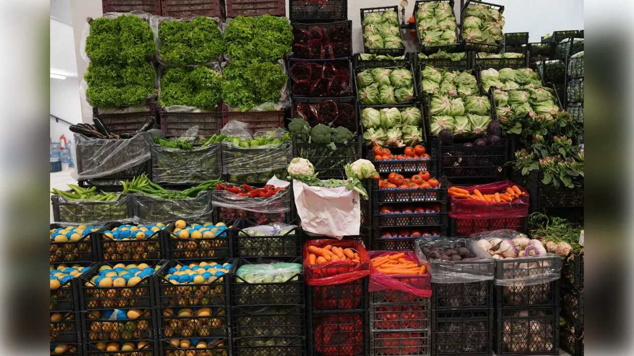 Batı Sebze Meyve Hali hizmet vermeye başladı; Bolluk ve bereket sizinle olsun