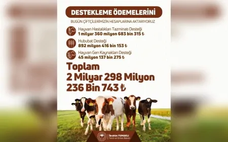 Adana, Gaziantep, Malatya ve Osmaniye’de Çiftçilere 892 Milyon TL Hububat Desteği