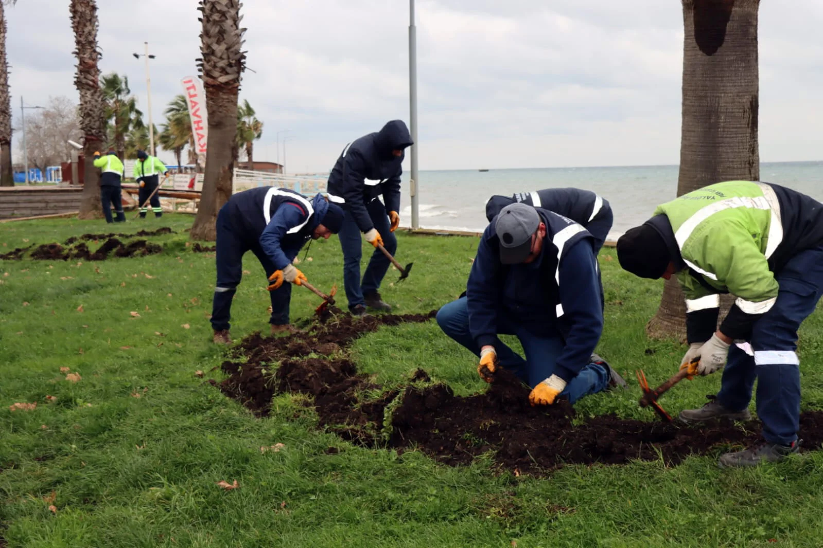 YALOVA BELEDİYESİ’NDEN KIŞA ÖZEL PEYZAJ ÇALIŞMALARI