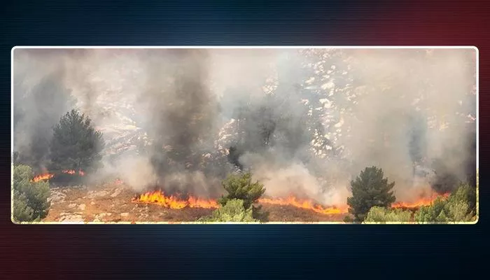 Çankırı&#039;daki orman yangınında son durum! 17 saat sonra AFAD duyurdu... Soğutma çalışmaları sürüyor