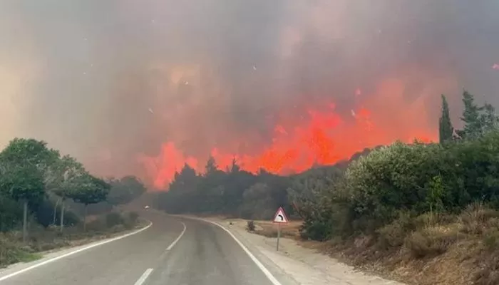 Çanakkale Valiliği açıkladı! Ormanlara giriş yasağı uzatıldı