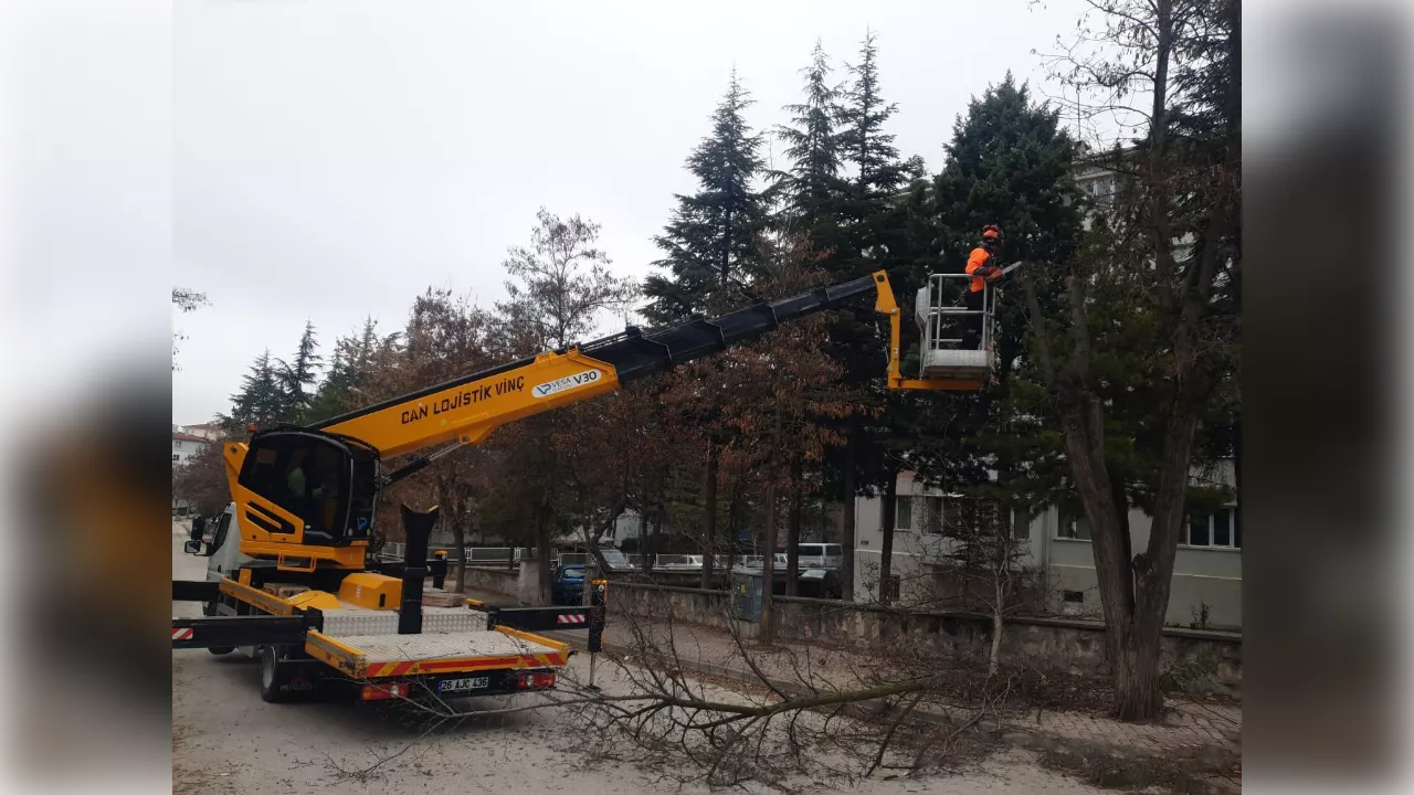 Odunpazarı’nda ağaç bakımları sürüyor