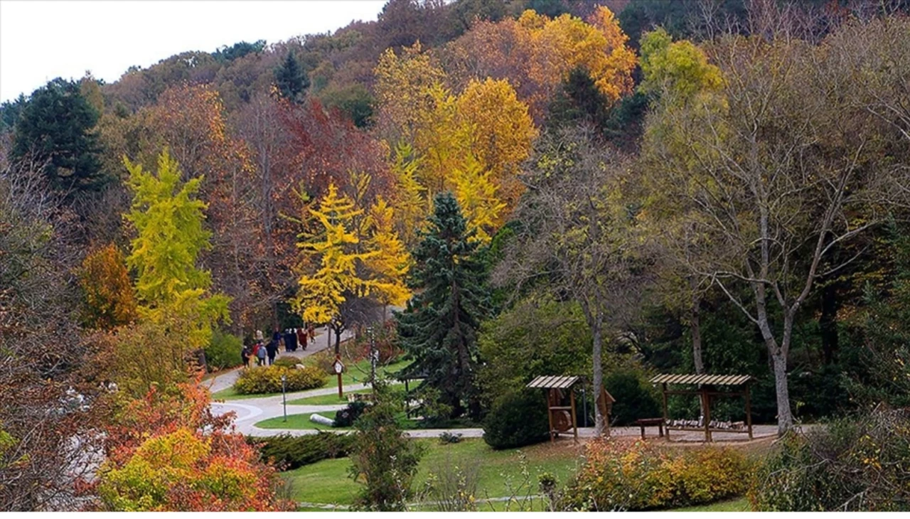 Bakanlıktan Belgrad Ormanı Açıklaması