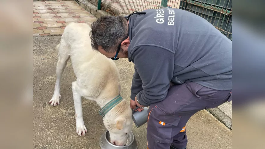 BAŞKAN KÖSE; "CAN DOSTLARIMIZ İÇİN MAMA ÜRETİMİNDE KAPASİTEYİ 5 KAT ARTIRDIK"