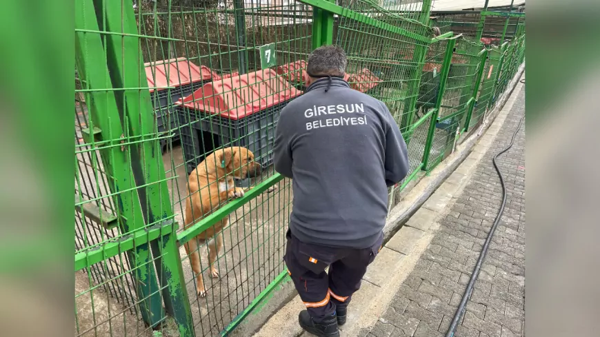 BAŞKAN KÖSE; "CAN DOSTLARIMIZ İÇİN MAMA ÜRETİMİNDE KAPASİTEYİ 5 KAT ARTIRDIK"