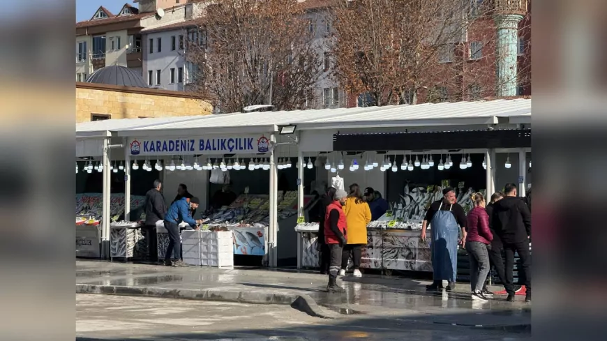 Balıkçılar Yeni Yerinde