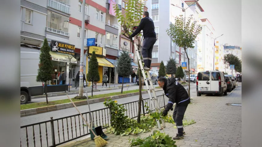 YEŞİLİMİZİ KORUYOR, ŞEHRİMİZİ GÜZELLEŞTİRİYORUZ