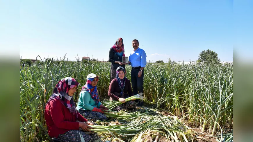 TEPEBAŞI ÜRETİCİNİN YANINDA