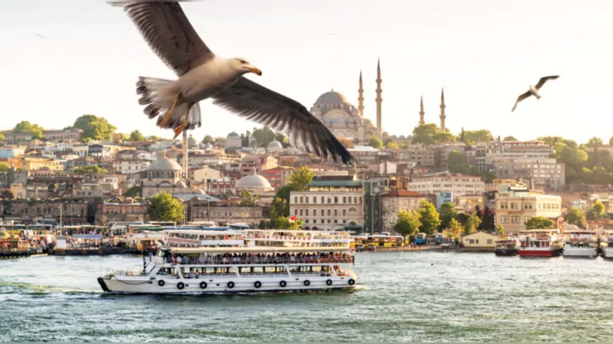 İstanbul'da Yeşil Turizm: Çevre Dostu Transfer Hizmetleri İle Karbon Ayak İzi Azaltılıyor