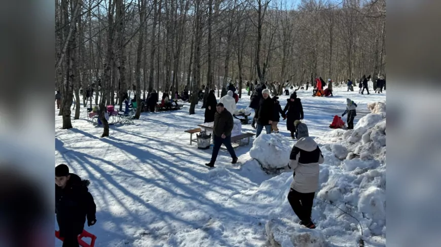 Kartepe Teleferiği'nde Öğrencilere ve Ailelere İndirimli Seyahat Fırsatı