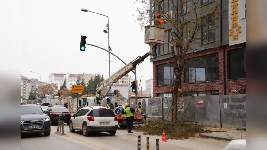 Büyükşehir Ekipleri Sömestir Tatilinde Ağaç Budama Çalışmalarını Yoğunlaştırdı