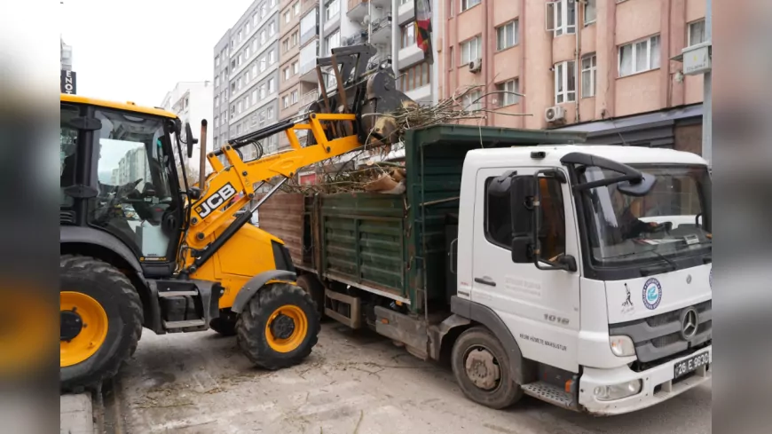 Büyükşehir Ekipleri Sömestir Tatilinde Ağaç Budama Çalışmalarını Yoğunlaştırdı