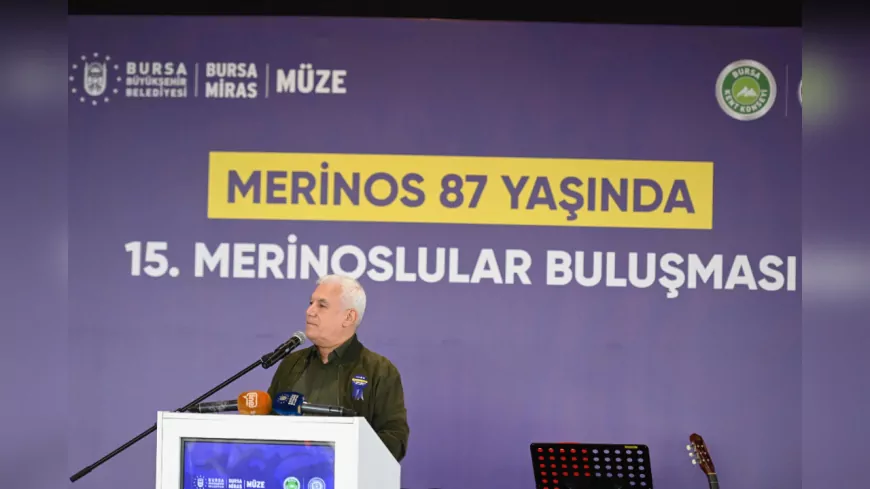 Merinos’un Mirası Bursa’da Yaşatılıyor