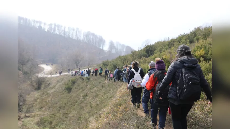 Yalova Belediyesi, Höyüktepe-Sugören Doğa Yürüyüşü ile Doğa Tutkunlarını Buluşturdu