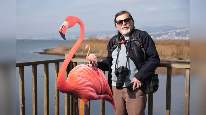 İzmit Körfezi Sulak Alanı'nda 2. Flamingo Gözlem Şenliği Düzenlendi