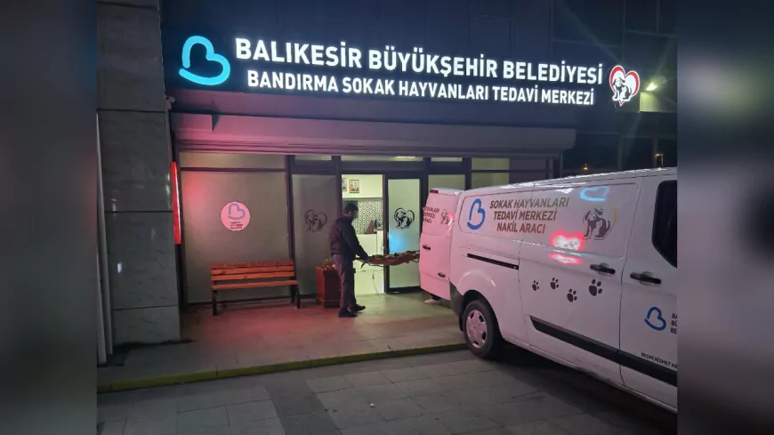 Yaralı Köpeği Kurtarmak İçin Zamanla Yarıştılar