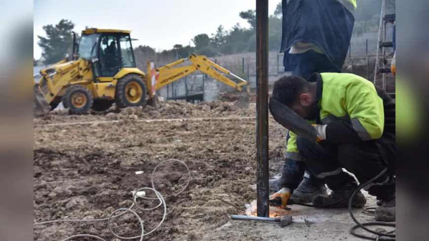 Bilecik’te Sokak Hayvanları İçin Doğal Yaşam Alanı Çalışmaları Sürüyor