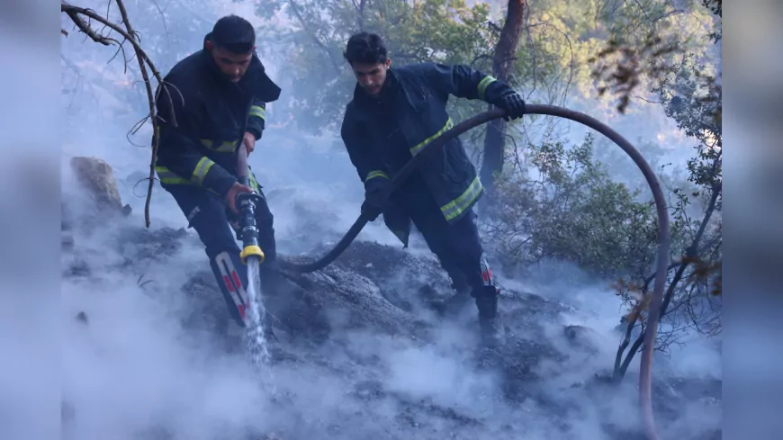 Antalya Büyükşehir İtfaiyesi Tünektepe’deki Orman Yangınına Müdahale Ediyor