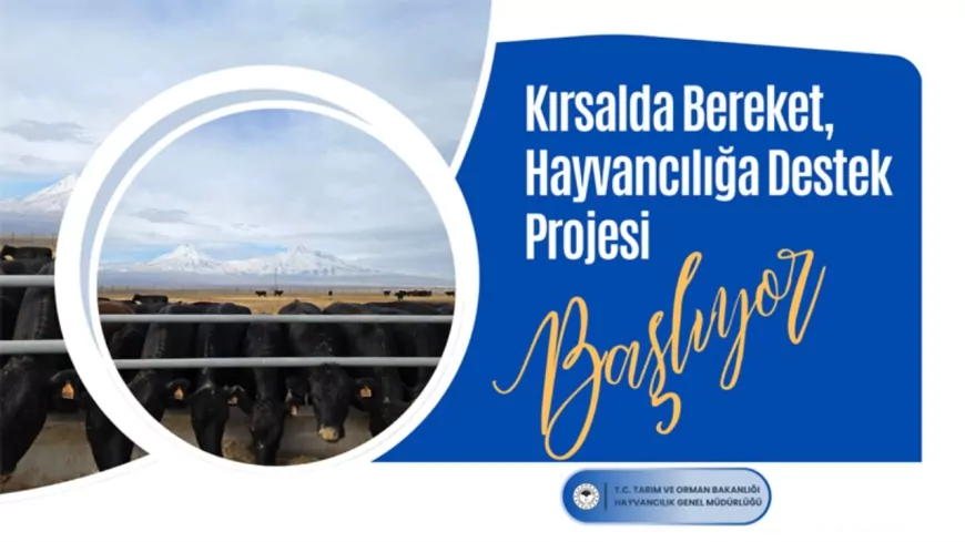 Kırsalda Bereket, Hayvancılığa Destek Projesi Başvuru Şartları Açıklandı