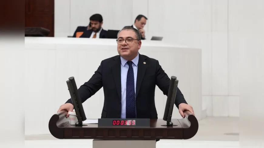 CHP’li Karakoz: “Zeytin ve Zeytinyağı Üreticisi Zorda”