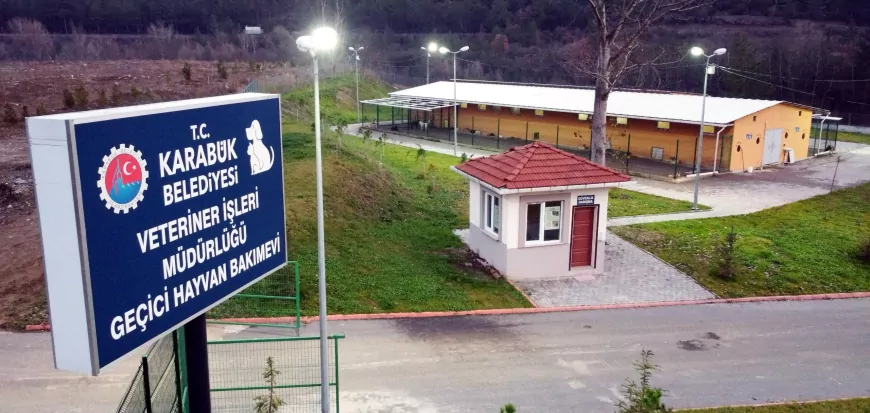 Karabük Belediyesi, Sokak Hayvanları İçin 1.000 Kapasiteli Modern Barınak İnşa Ediyor