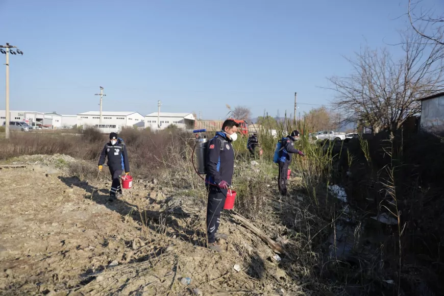 Dalaman’da Sivrisinek İle Mücadele Yıl Boyunca Devam Ediyor