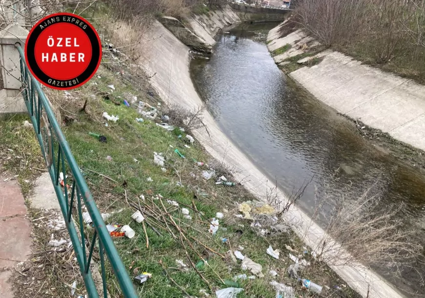 Tepebaşı'ndaki Su Kanalı Çöplüğe Döndü: Çürüyen Atıklar Sağlık Tehlikesi Yaratıyor!