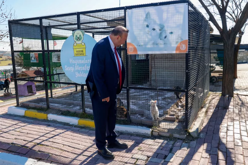 Başkan Yalım’dan Ramazan Çağrısı: Minik Dostlarımıza Sıcak Bir Yuva Sağlayın