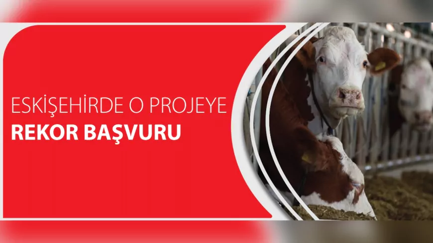 Eskişehir'de "Kırsalda Bereket Hayvancılığa Destek Projesi"ne Rekor Başvuru