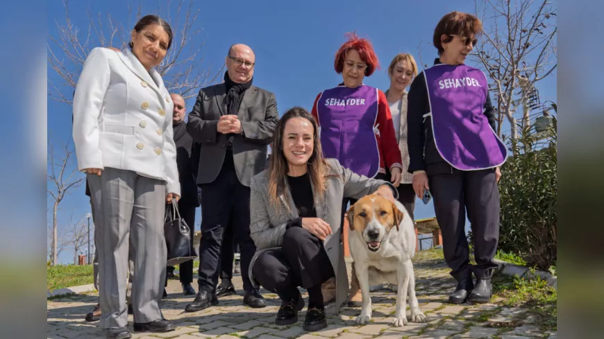 İzmir Büyükşehir Belediyesi'nden Sahipsiz Canlara Destek: Patili Dost Sahiplenmeye Davet