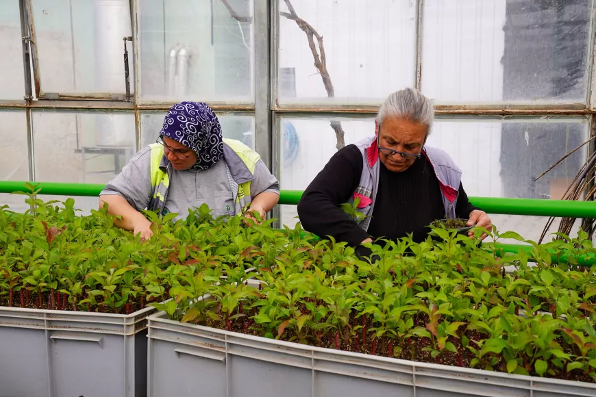 Çiçeklerle Rengarenk Tepebaşı: Belediye Üretime Devam Ediyor