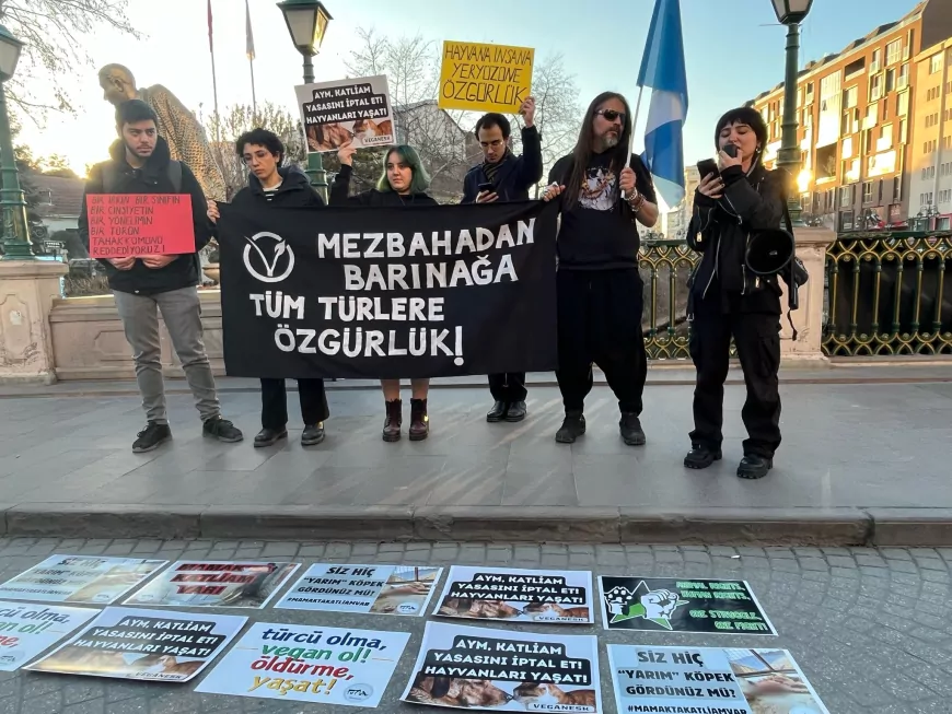 Veganesk: Hayvan Hakları ve Özgürlük Mücadelemizden Vazgeçmeyeceğiz