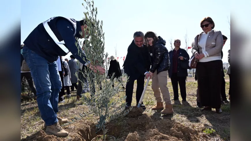 Yalova Belediyesi, Kadın Şiddetine Karşı Farkındalık İçin 100 Zeytin Fidanı Dikti