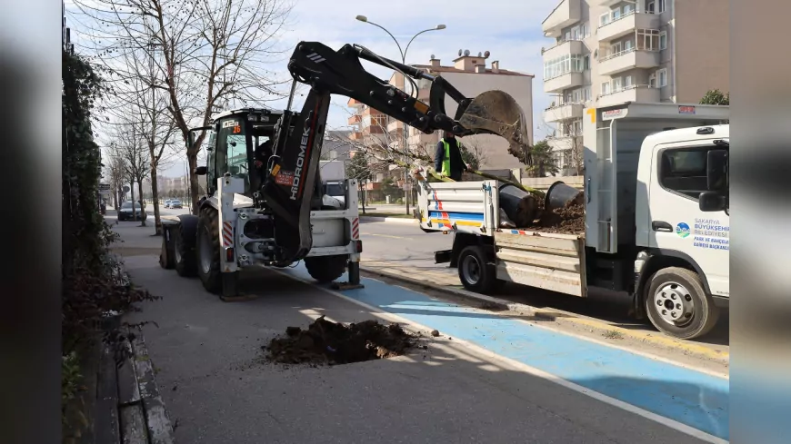 Büyükşehir ‘Yeşil’ Dokunuşla Şehrin Çehresini Değiştiriyor