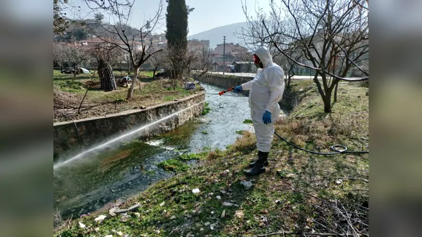 Sivrisinek Oluşumunu Azaltmak İçin İlaçlama Çalışmaları Devam Ediyor