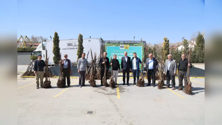 Konya Büyükşehir’den Çiftçilere 72 Bin Meyve Fidanı Desteği