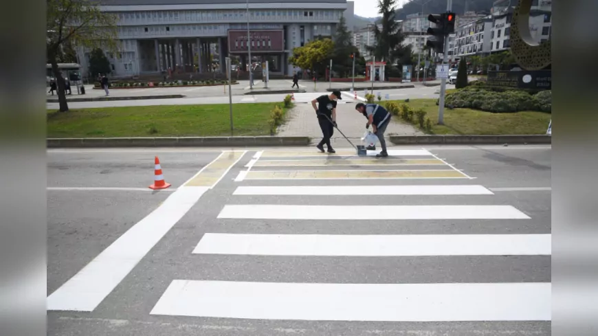 Giresun Belediyesi, Yaya ve Araç Güvenliği İçin Çizgi Çalışmalarını Sürdürüyor