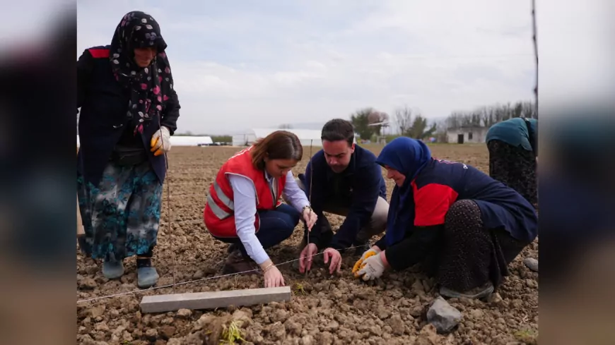 Düzce Belediyesi Tarım Akademisi, Yerel Üretimi Güçlendiriyor