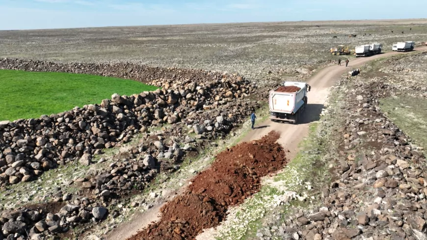 Şanlıurfa Büyükşehir Belediyesi, Viranşehir'in Kırsal Yollarını Yeniliyor