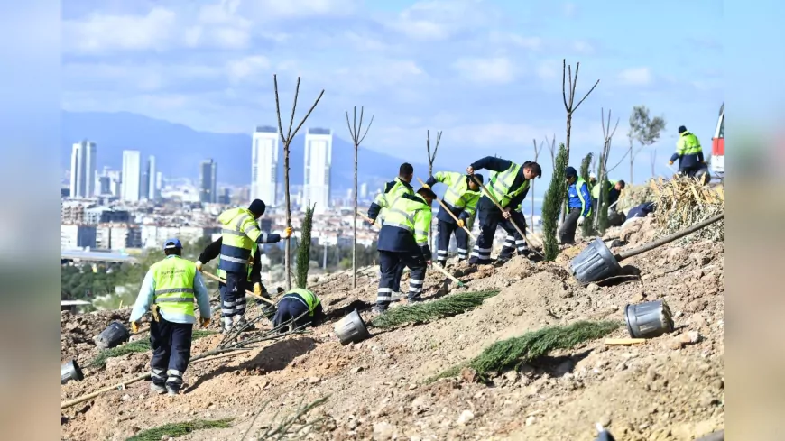 Tugay'ın Ağaçlandırma Seferberliği Sürüyor: Bornova Yeni Orman Kazanıyor